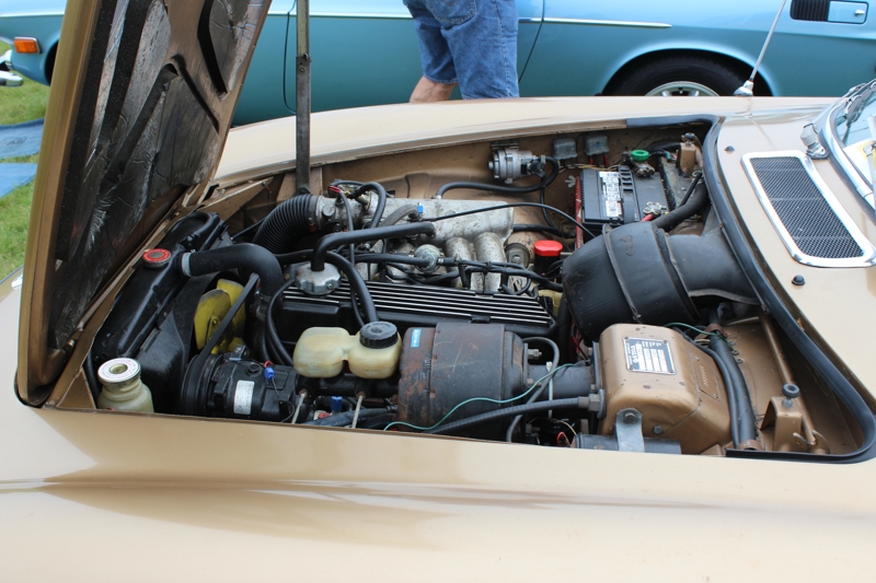 Volvo P1800ES 1973
