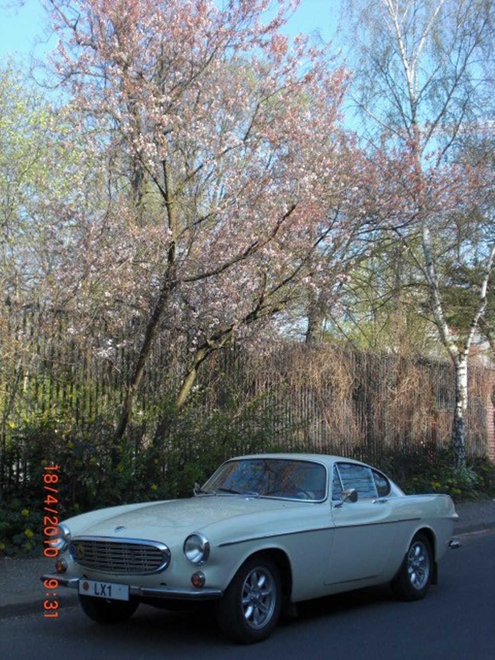 Volvo P1800S 1969