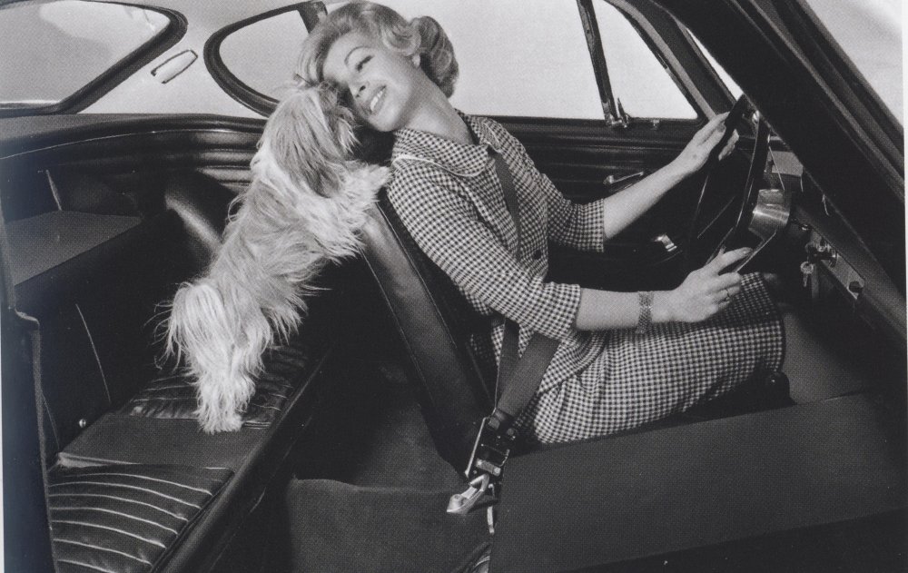 Volvo 1800 upholstery